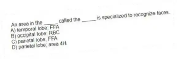  An area in the _____ called the _____ is specialized to recognize faces.
A) temporal lobe; FFA
B) occipital lobe; RBC
C) parietal lobe; FFA
D) parietal lobe; area 4H