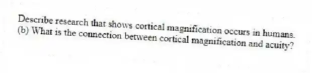 Describe research that shows cortical magnification occurs in humans.
(b) What is the connection between cortical magnification and acuity?
