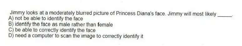 Jimmy looks at a moderately blurred picture of Princess Diana's face. Jimmy will most likely _____.
A) not be able to identify the face
B) identify the face as male rather than female
C) be able to correctly identify the face
D) need a computer to scan the image to correctly identify it