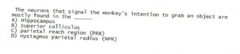 The neurons that signal the monkey's intention to grab an object are mostly found in the _____.
A) Hippocampus
B) superior colliculus
C) parietal reach region (PRR)
D) nystagmus parietal radius (NPR)