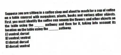 Suppose you are sitting in a coffee shop and about to reach for a cup of coffee on a table covered with magazines, plants, books and various other objects. First, you must identify the coffee cup among the flowers and other objects on the table using the _____ pathway and then for it, taking into account its location on the table using the _____ pathway.
A) ventral; dorsal
B) ventral; ventral
C) dorsal; dorsal
D) dorsal; ventral