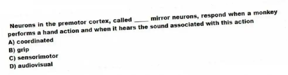 Neurons in the premotor cortex, called _____ mirror neurons, respond when a monkey performs a hand action and when it hears the sound associated with this action
A) coordinated
B) grip
C) sensorimotor
D) audiovisual