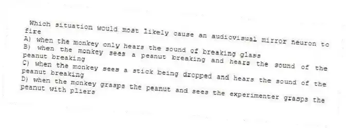 Which situation would most likely cause an audiovisual mirror neuron to fire
A) when the monkey only hears the sound of breaking glass
B) when the monkey sees a peanut breaking and hears the sound of the peanut breaking
C) when the monkey sees a stick being dropped and hears the sound of the peanut breaking
D) when the monkey grasps the peanut and sees the experimenter grasps the peanut with pliers