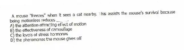 A mouse "freezes" when it sees a cat nearby. This assists the mouse's survival because being motionless reduces _____.
A) the attention-attracting effect of motion
B) the effectiveness of camouflage
C) the levels of stress hormones
D) the pheromones the mouse gives off