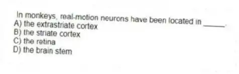 In monkeys, real-motion neurons have been located in _____.
A) the extrastriate cortex
B) the striate cortex
C) the retina
D) the brain stem