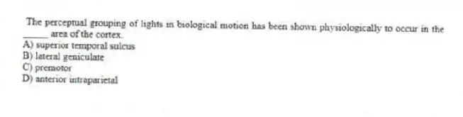 The perceptual grouping of lights in biological motion has been shown physiologically to occur in the _____ area of the cortex.
A) superior temporal sulcus
B) lateral geniculate
C) premotor
D) anterior intraparietal