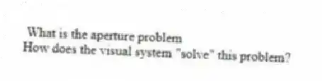 What is the aperture problem
How does the visual system "solve" this problem?