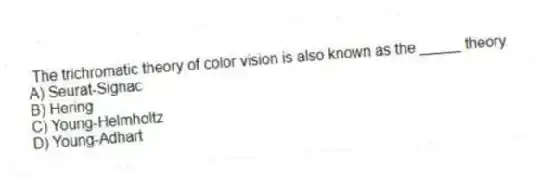 The trichromatic theory of color vision is also known as the _____ theory.
A) Seurat-Signac
B) Hering
C) Young-Helmholtz
D) Young-Adhart