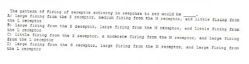 The pattern of firing of receptor activity in response to red would be _____.
A) large firing from the S receptor, medium firing from the M receptor, and little firing from the L receptor
B) large firing from the S receptor, large firing from the M receptor, and little firing from the L receptor
C) little firing from the S receptor, a moderate firing from the M receptor, and large firing from the L receptor
D) large firing from the S receptor, large firing from the M receptor, and large firing from the L receptor