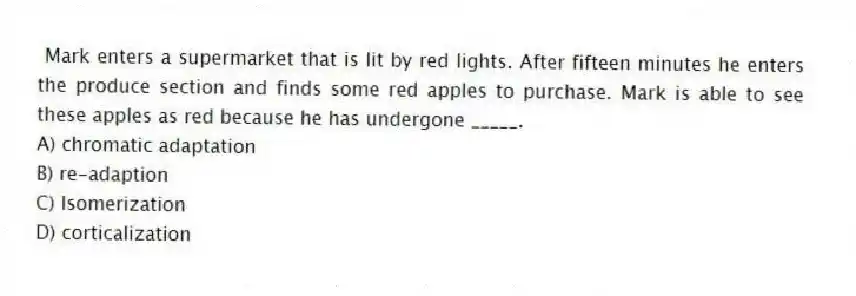 Mark enters a supermarket that is lit by red lights. After fifteen minutes he enters the produce section and finds some red apples to purchase. Mark is able to see these apples as red because he has undergone _____.
A) chromatic adaptation
B) re-adaption
C) Isomerization
D) corticalization