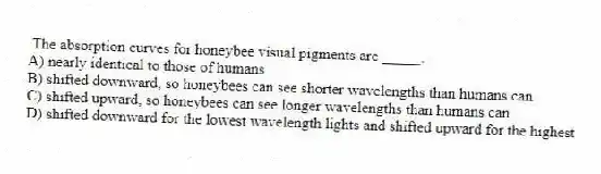 The absorption curves for honeybee visual pigments are _____.
A) nearly identical to those of humans
B) shifted downward, so honeybees can see shorter wavelengths than humans can
C) shifted upward, so honeybees can see longer wavelengths than humans can
D) shifted downward for the lowest wavelength lights and shifted upward for the highest