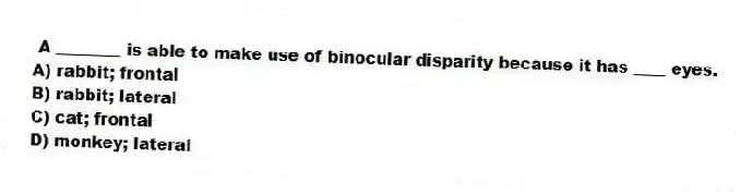 A ________ is able to make use of binocular disparity because it has ____ eyes.
A) rabbit; frontal
B) rabbit; lateral
C) cat; frontal
D) monkey; lateral