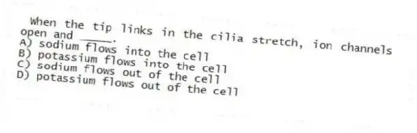 When the tip links in the cilia stretch, ion channels open and _____.
A) sodium flows into the cell
B) potassium flows into the cell
C) sodium flows out of the cell
D) potassium flows out of the cell