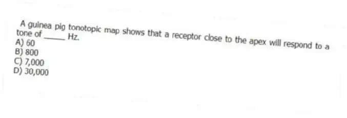 A guinea pig tonotopic map shows that a receptor close to the apex will respond to a tone of _____ Hz.
A) 60
B) 800
C) 7,000
D) 30,000