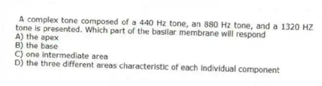 A complex tone composed of a 440 Hz tone, an 880 Hz tone, and a 1320 HZ tone is presented. Which part of the basilar membrane will respond
A) the apex
B) the base
C) one intermediate area
D) the three different areas characteristic of each individual component