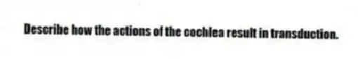 Describe how the actions of the cochlea result in transduction.