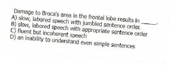 Damage to Broca's area in the frontal lobe results in _____.
A) slow, labored speech with jumbled sentence order.
B) slow, labored speech with appropriate sentence order
C) fluent but incoherent speech
D) an inability to understand even simple sentences