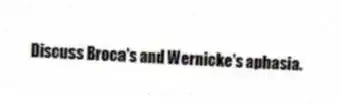 Discuss Broca's and Wernicke's aphasia.