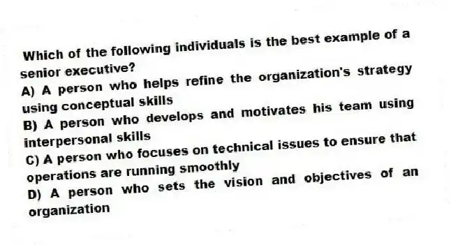 Which of the following individuals is the best example of a senior executive?
A) A person who helps refine the organization's strategy using conceptual skills
B) A person who develops and motivates his team using interpersonal skills
C) A person who focuses on technical issues to ensure that operations are running smoothly
D) A person who sets the vision and objectives of an organization