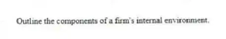 Outline the components of a firm's internal environment.