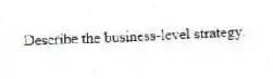 Describe the business-level strategy.