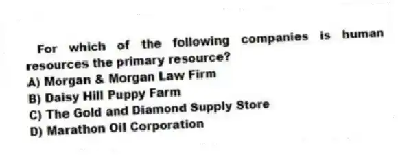 For which of the following companies is human resources the primary resource?
A) Morgan & Morgan Law Firm
B) Daisy Hill Puppy Farm
C) The Gold and Diamond Supply Store
D) Marathon Oil Corporation