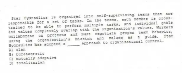 Star Hydraulics is organized into self-supervising teams that are responsible for a set of tasks. In the teams, each member is cross-trained to be able to perform multiple tasks, and individual goals and values completely overlap with the organization's values. Workers collaborate on projects and must negotiate proper team behavior, using the organization's mission and values as a guide. Star Hydraulics has adopted a _____ approach to organizational control.
A) clan
B) bureaucratic
C) mutually adaptive
D) totalitarian