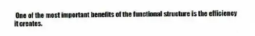 One of the most important benefits of the functional structure is the efficiency it creates.