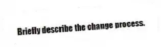 Briefly describe the change process.
