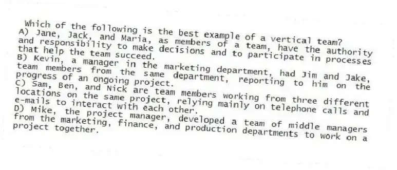Which of the following is the best example of a vertical team?
A) Jane, Jack, and Maria, as members of a team, have the authority and responsibility to make decisions and to participate in processes that help the team succeed.
B) Kevin, a manager in the marketing department, had Jim and Jake, team members from the same department, reporting to him on the progress of an ongoing project.
C) Sam, Ben, and Nick are team members working from three different locations on the same project, relying mainly on telephone calls and e-mails to interact with each other.
D) Mike, the project manager, developed a team of middle managers from the marketing, finance, and production departments to work on a project together.
