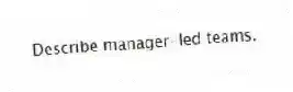 Describe manager-led teams.