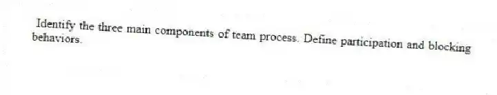 Identify the three main components of team process. Define participation and blocking behaviors.