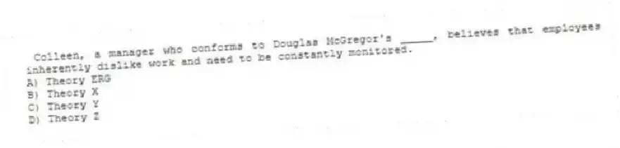 Colleen, a manager who conforms to Douglas McGregor's _____, believes that employees inherently dislike work and need to be constantly monitored.
A) Theory ERG
B) Theory X
C) Theory Y
D) Theory Z