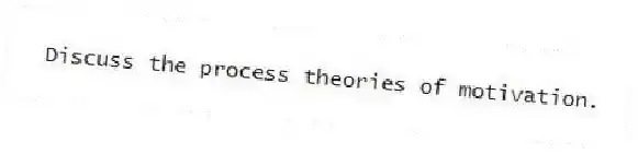 Discuss the process theories of motivation.