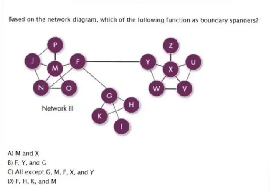 Based on the network diagram, which of the following function as boundary spanners?
A) M and X
B) F, Y, and G
C) All except G, M, F, X, and Y
D) F, H, K, and M