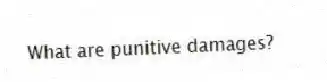 What are punitive damages?