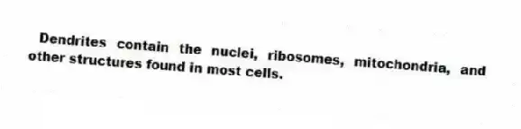 Dendrites contain the nuclei, ribosomes, mitochondria, and other structures found in most cells.