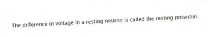 The difference in voltage in a resting neuron is called the resting potential.