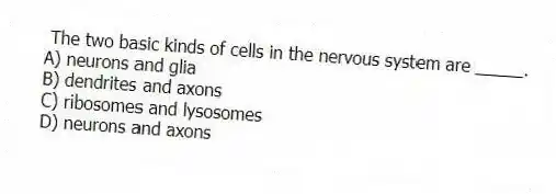 The two basic kinds of cells in the nervous system are _____.
A) neurons and glia
B) dendrites and axons
C) ribosomes and lysosomes
D) neurons and axons