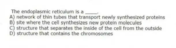 The endoplasmic reticulum is a ____.
A) network of thin tubes that transport newly synthesized proteins
B) site where the cell synthesizes new protein molecules
C) structure that separates the inside of the cell from the outside
D) structure that contains the chromosomes
