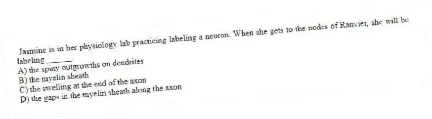 Jasmine is in her physiology lab practicing labeling a neuron. When she gets to the nodes of Ranvier, she will be labeling ______.
A) the spiny outgrowths on dendrites
B) the myelin sheath
C) the swelling at the end of the axon
D) the gaps in the myelin sheath along the axon