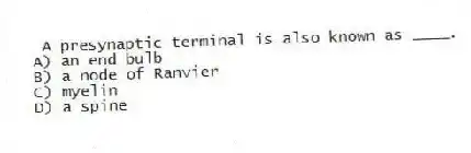A presynaptic terminal is also known as ____.
A) an end bulb
B) a node of Ranvier
C) myelin
D) a spine