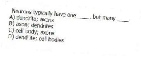 Neurons typically have one ____, but many ____.
A) dendrite; axons
B) axon; dendrites
C) cell body; axons
D) dendrite; cell bodies