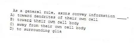 As a general rule, axons convey information ____.
A) toward dendrites of their own cell
B) toward their own cell body
C) away from their own cell body
D) to surrounding glia