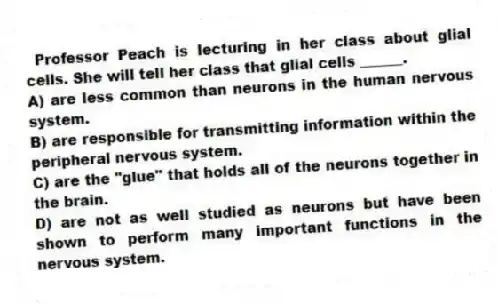 Professor Peach is lecturing in her class about glial cells. She will tell her class that glial cells ______.
A) are less common than neurons in the human nervous system.
B) are responsible for transmitting information within the peripheral nervous system.
C) are the "glue" that holds all of the neurons together in the brain.
D) are not as well studied as neurons but have been shown to perform many important functions in the nervous system.