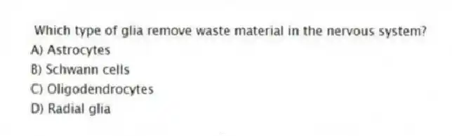 Which type of glia remove waste material in the nervous system?
A) Astrocytes
B) Schwann cells
C) Oligodendrocytes
D) Radial glia