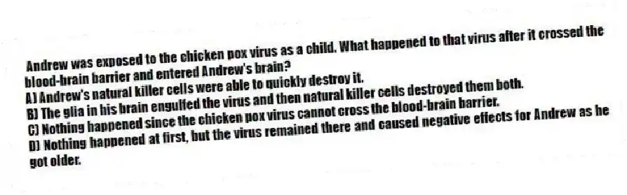 Andrew was exposed to the chicken pox virus as a child. What happened to that virus after it crossed the blood-brain barrier and entered Andrew's brain?
A) Andrew's natural killer cells were able to quickly destroy it.
B) The glia in his brain engulfed the virus and then natural killer cells destroyed them both.
C) Nothing happened since the chicken pox virus cannot cross the blood-brain barrier.
D) Nothing happened at first, but the virus remained there and caused negative effects for Andrew as he got older.