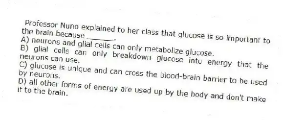 Professor Nuno explained to her class that glucose is so important to the brain because ______.
A) neurons and glial cells can only metabolize glucose.
B) glial cells can only breakdown glucose into energy that the neurons can use.
C) glucose is unique and can cross the blood-brain barrier to be used by neurons.
D) all other forms of energy are used up by the body and don't make it to the brain.
