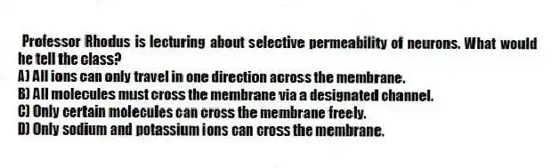 Professor Rhodus is lecturing about selective permeability of neurons. What would he tell the class?
A) All ions can only travel in one direction across the membrane.
B) All molecules must cross the membrane via a designated channel.
C) Only certain molecules can cross the membrane freely.
D) Only sodium and potassium ions can cross the membrane.