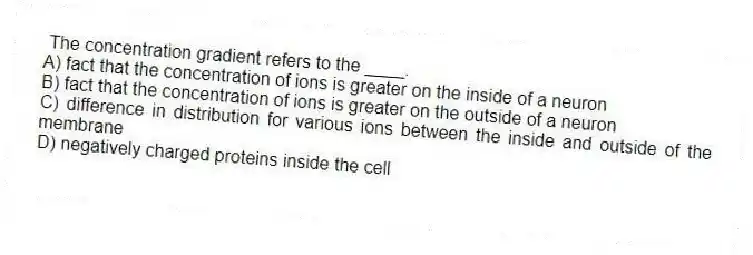 The concentration gradient refers to the ____.
A) fact that the concentration of ions is greater on the inside of a neuron
B) fact that the concentration of ions is greater on the outside of a neuron
C) difference in distribution for various ions between the inside and outside of the membrane
D) negatively charged proteins inside the cell